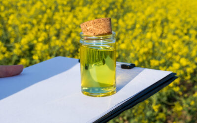 Sustainable Aviation Fuel 101: Feedstocks